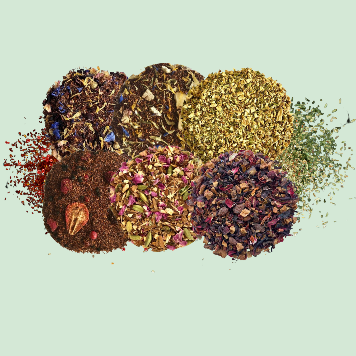 Nos Infusions