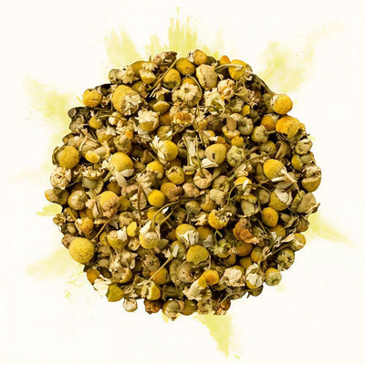 Infusion en vrac de fleurs de camomille séchées, vu de dessus