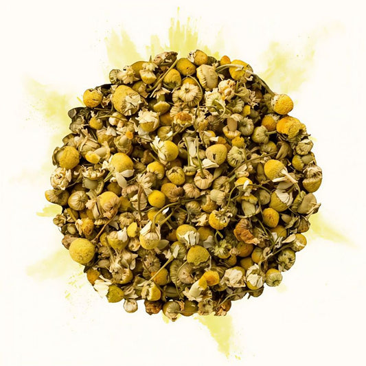 Infusion en vrac de fleurs de camomille séchées, vu de dessus