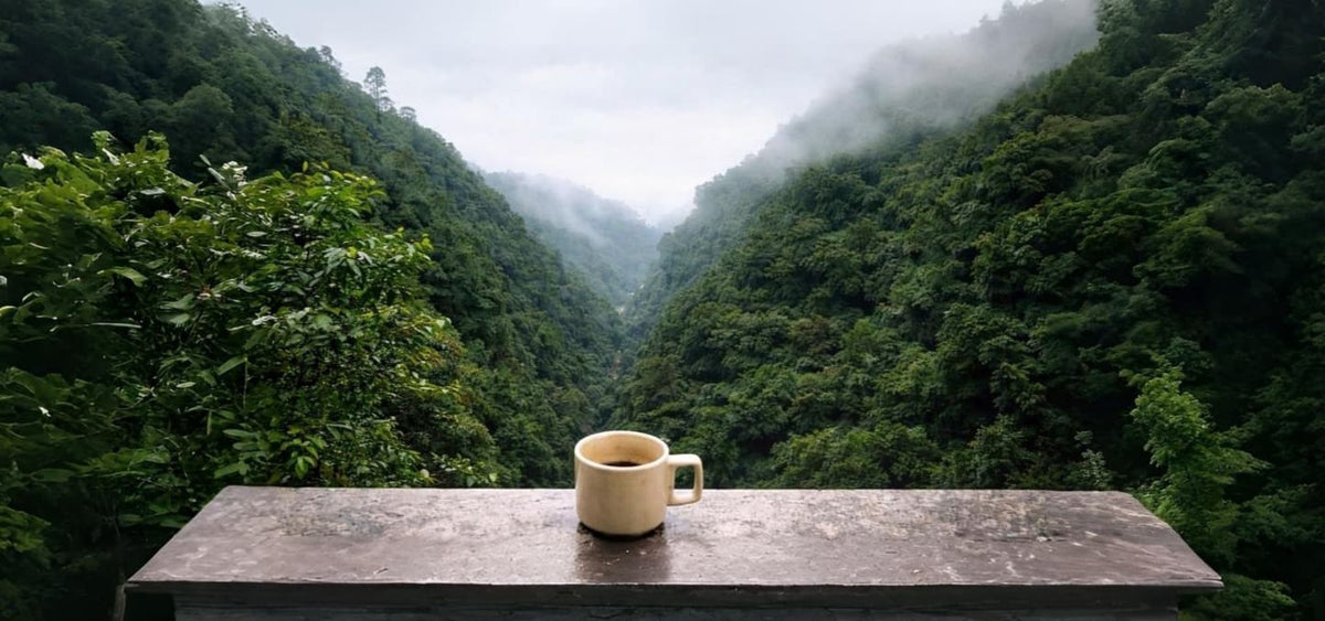 Bannière d'accueil Thérelaxé présentant les collections Rooibos et Abonnement Premium